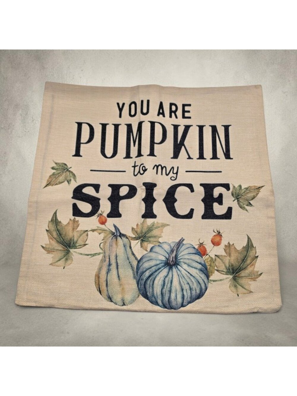 You Are Pumpkin To My Spice Autumn Throw Pillow Cover 17x18 Inches Decorative